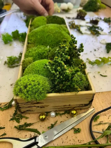 stabilizovaný mech v dřevěném obdélníkovém rámu s žlutými kvítky a náramným nožem