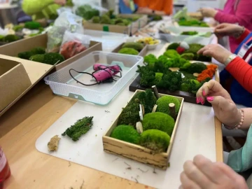 stabilizovaný mech s přírodními dekoracemi a rukama při tvorbě aranžmá