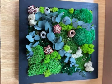 Barevný mechový obraz s eukalyptem, květy a přírodními strukturami v černém rámečku vytvořený během kurzu stabilizovaného mechu